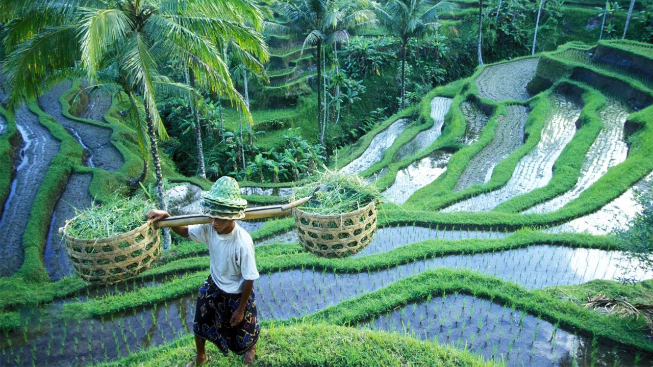 Bali-cycling-tour008.jpg